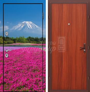 Металлическая дверь Фотопечать №153 в Кубинке